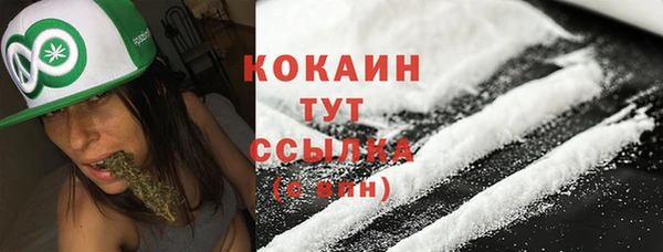 спиды Новокубанск