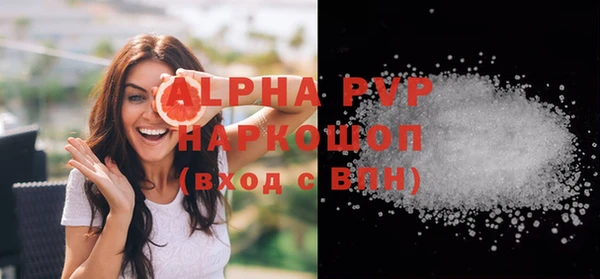 молекула духа Новодвинск
