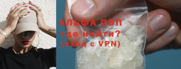 ALPHA-PVP Новозыбков