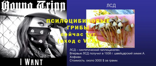 молекула духа Новодвинск