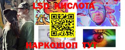 стаф Гатчина