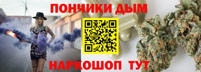 стаф Гатчина