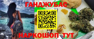 стаф Гатчина