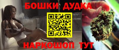 стаф Гатчина