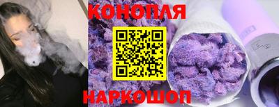 СК Гагарин
