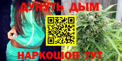 стаф Гатчина