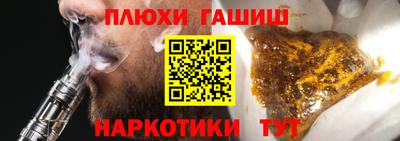 стаф Гатчина