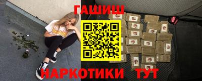 стаф Гатчина