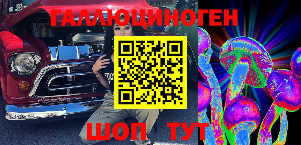 Псилоцибиновые грибы Psilocybe  где купить наркоту  Кольчугино 