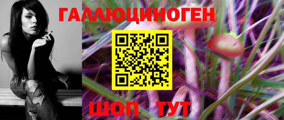 Галлюциногенные грибы Psilocybine cubensis  Вход с VPN  Кольчугино 