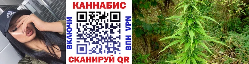 Бошки марихуана ГИДРОПОН  Кольчугино 